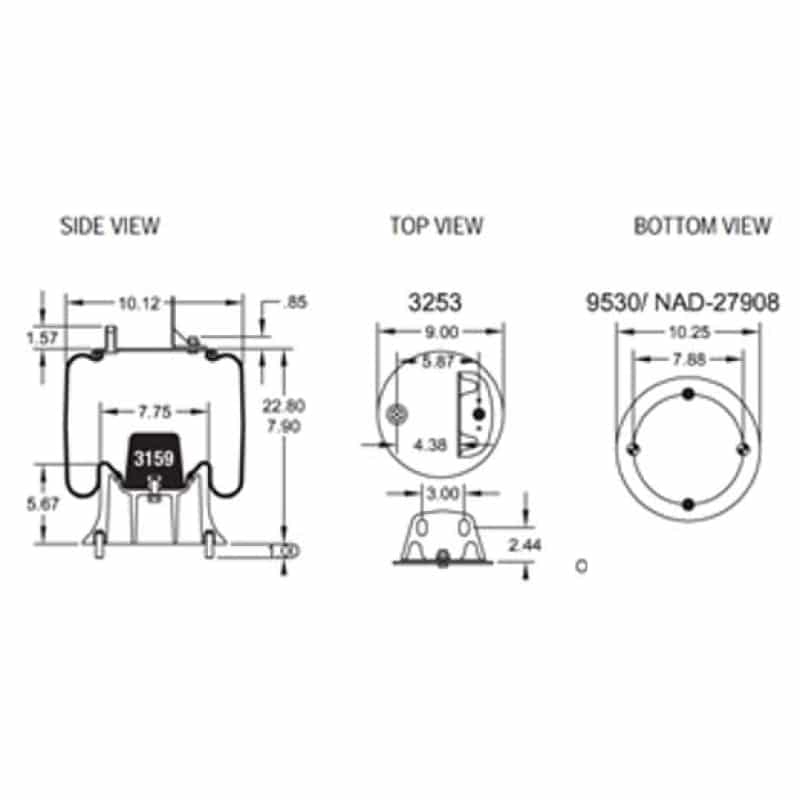 AIR SPRING - NEWAY 90557358